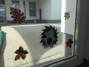 pic-06