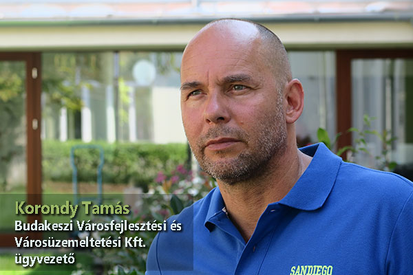 korondy tamas