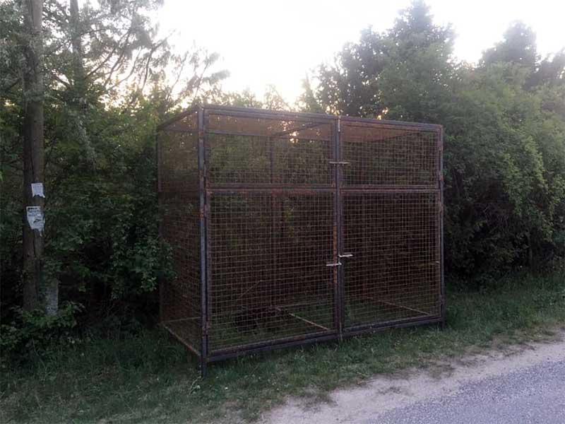 komposztáló