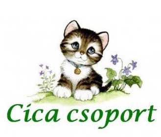 Cica csoport Image