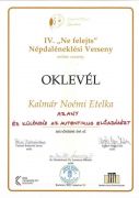 IV-Ne-felejtsKalmr-Noemi-Etelkapage-0001
