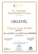IV-Ne-felejtsTolgyesi-Anna-Borblapage-0001